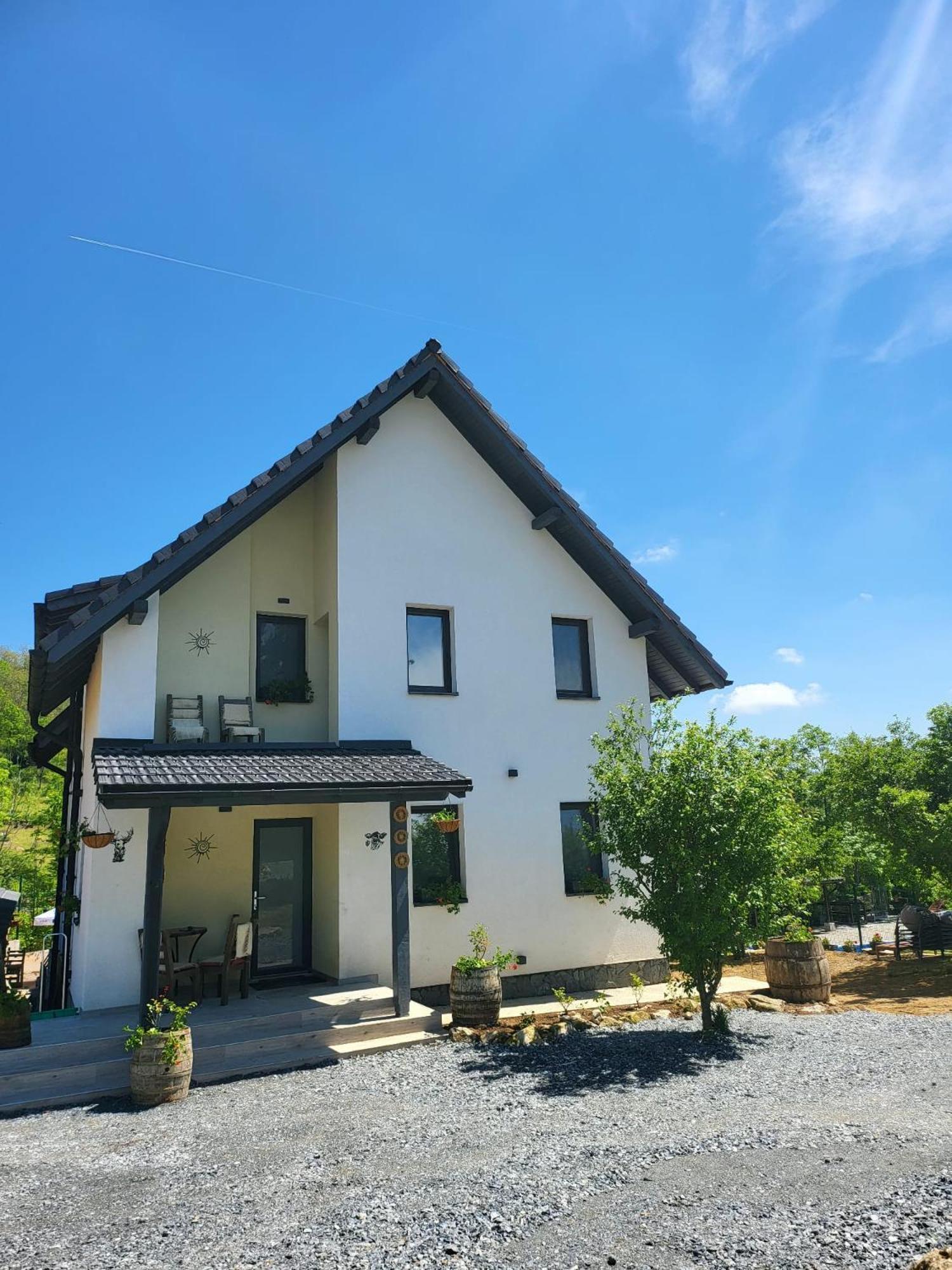Pensiunea Casa Dacilor Podeni Exterior foto
